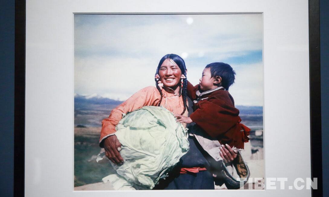 1497858366953327.jpg 1.jpg