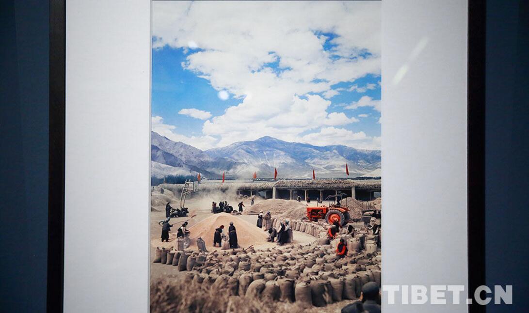 1497858415578326.jpg 1.jpg