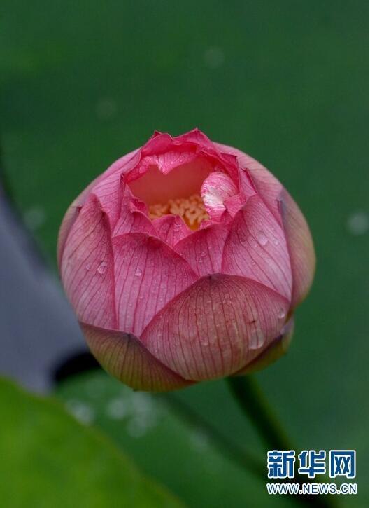 1499742679614193.jpg 1.jpg