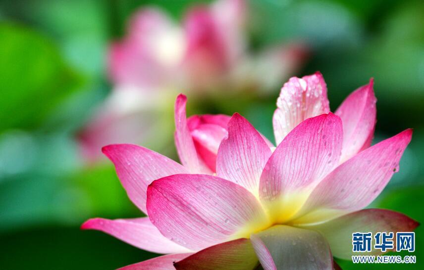 1499742717678523.jpg 1.jpg