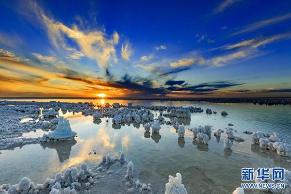 1504056823446332.jpg 4.jpg