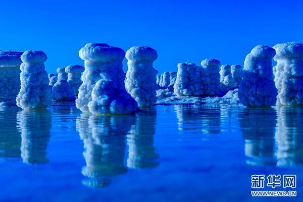 1504056827468944.jpg 5.jpg