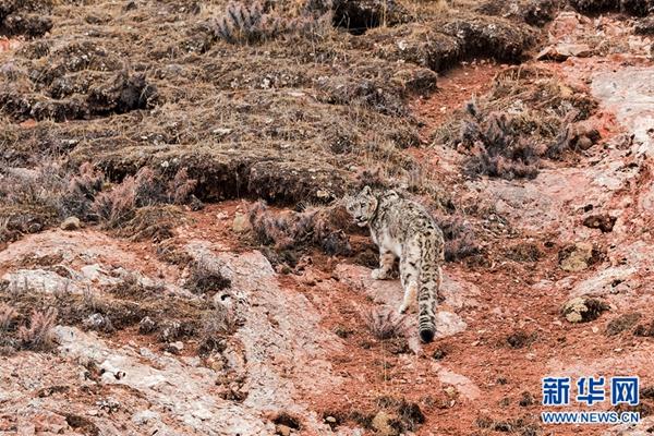 1504056838927599.jpg 7.jpg