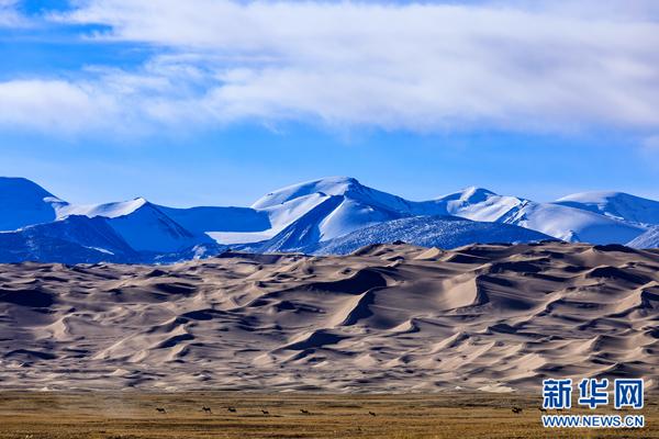 1504056848785007.jpg 9.jpg