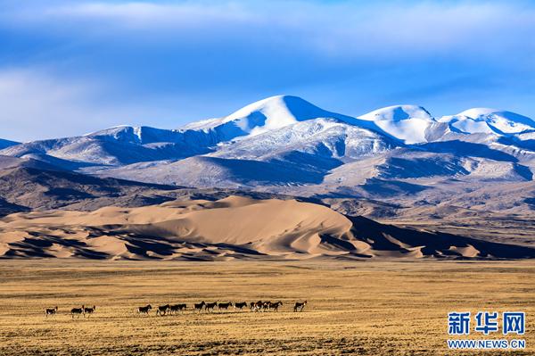 1504056863704412.jpg 12.jpg