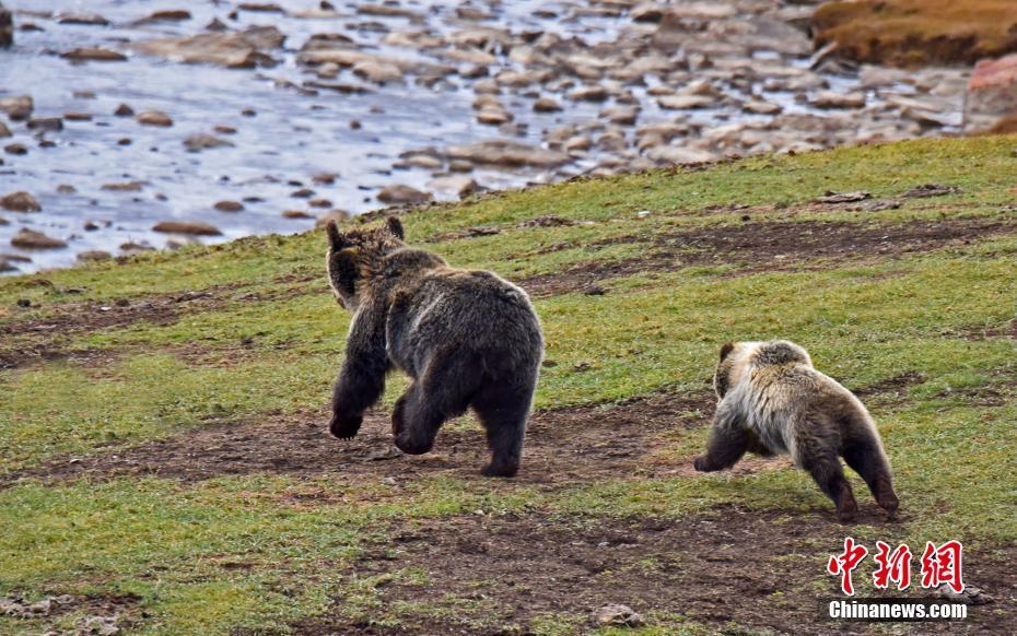 1509585901424520.jpg 3.JPG