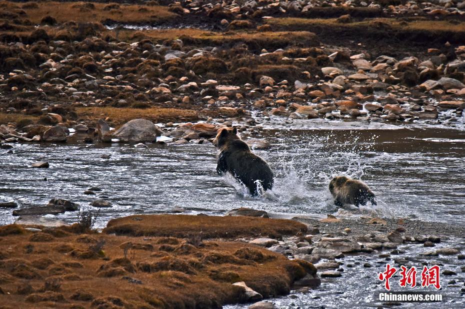 1509585934224111.jpg 6.jpg