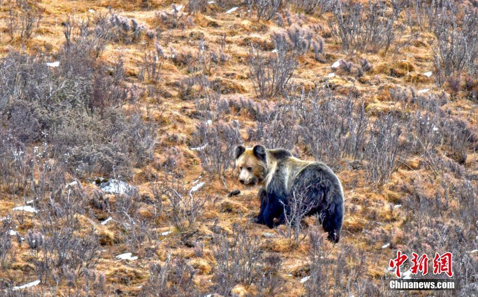 1509585952106403.jpg 8.jpg