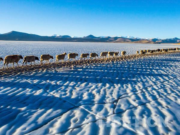 1510796711480674.jpg 2.jpg