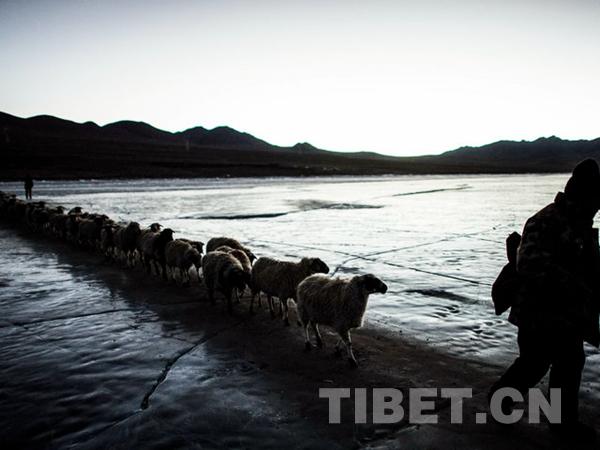 1510796720737314.jpg 3.jpg