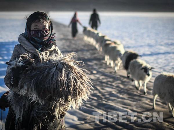 1510796730598062.jpg 4.jpg