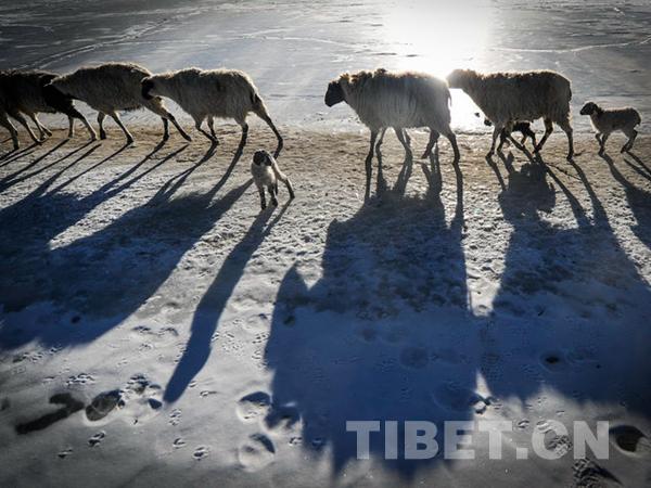 1510796740894921.jpg 5.jpg