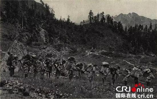 1517449164174563.jpg 2.jpg