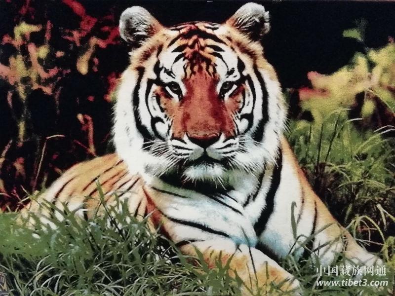 1528252961722144.jpg 1.jpg