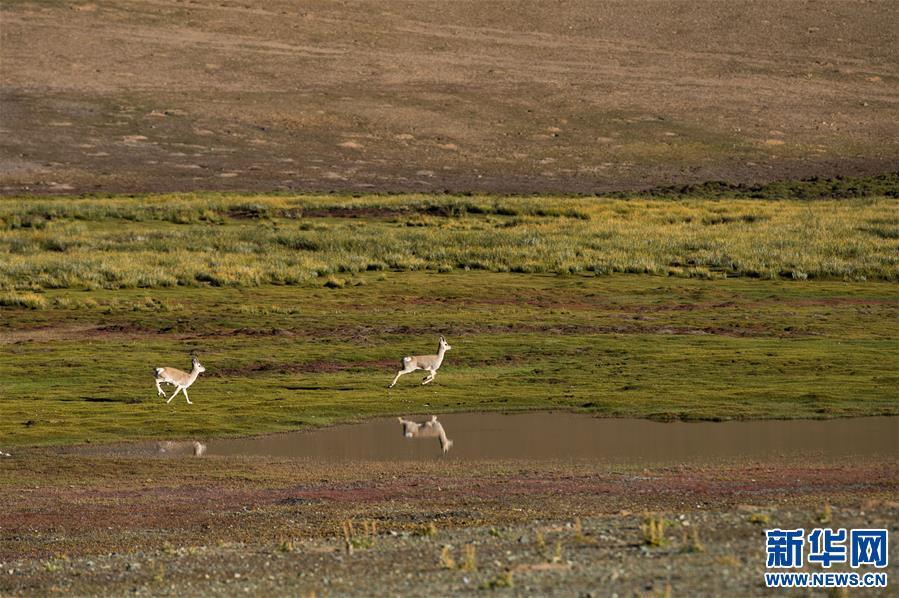 1538013258556225.jpg 1.jpg