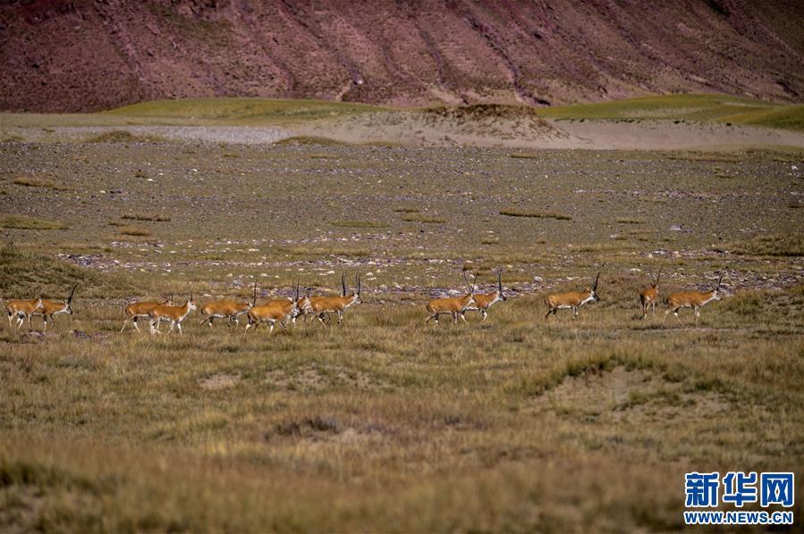 1538013285494009.jpg 4.jpg