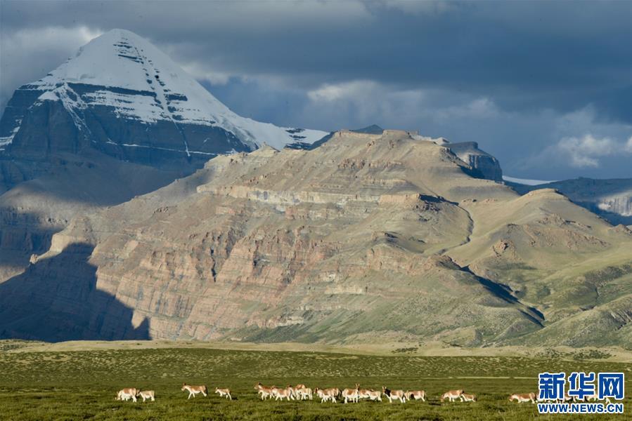 1538013458961471.jpg 2.jpg