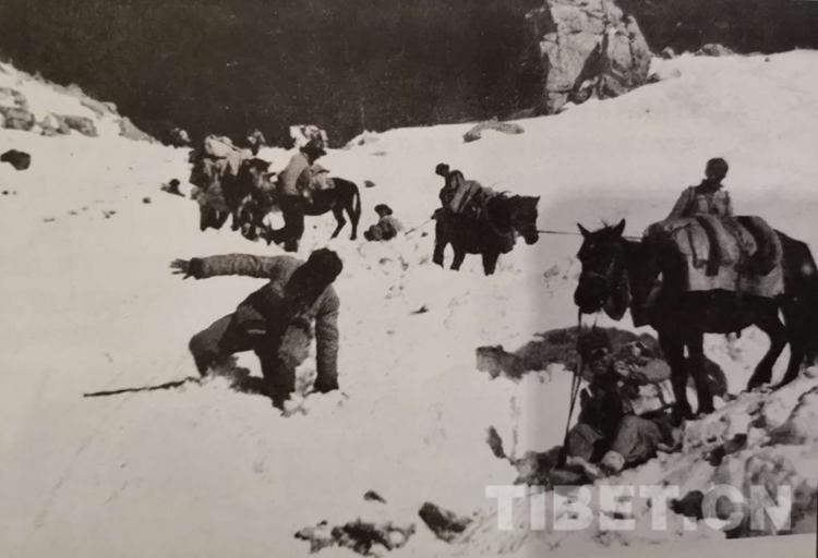 1556071982516067.jpg 2.jpg