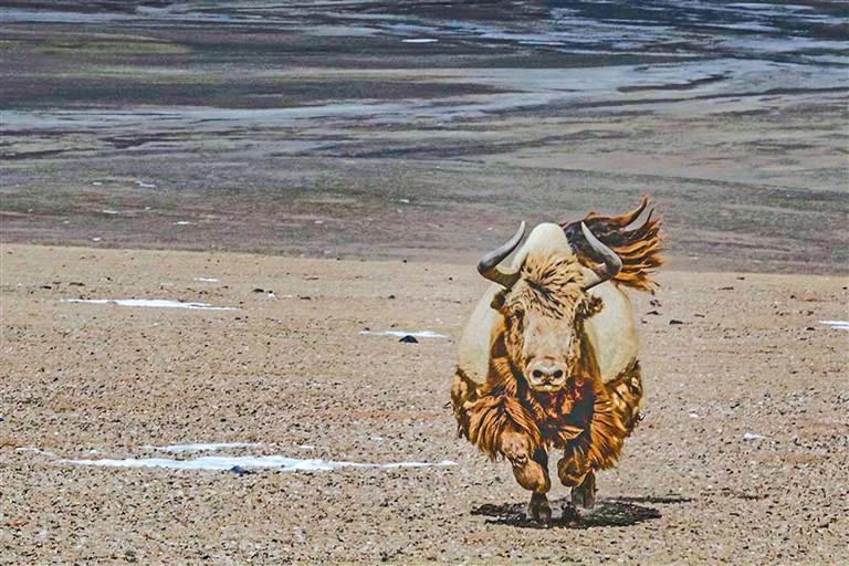 1593589307726700.jpg W020200628546783417442.jpg