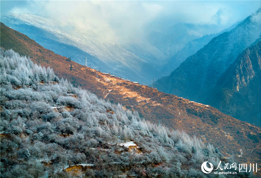 原馳蠟象,欲與天公試比高。胡宇攝