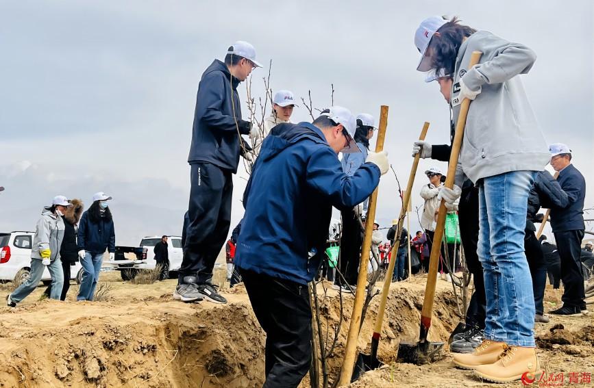 植樹活動現(xiàn)場。人民網(wǎng) 顧斐菲攝