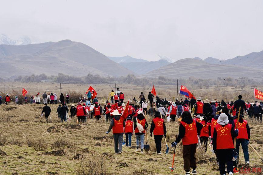 植樹活動現(xiàn)場。人民網(wǎng) 顧斐菲攝