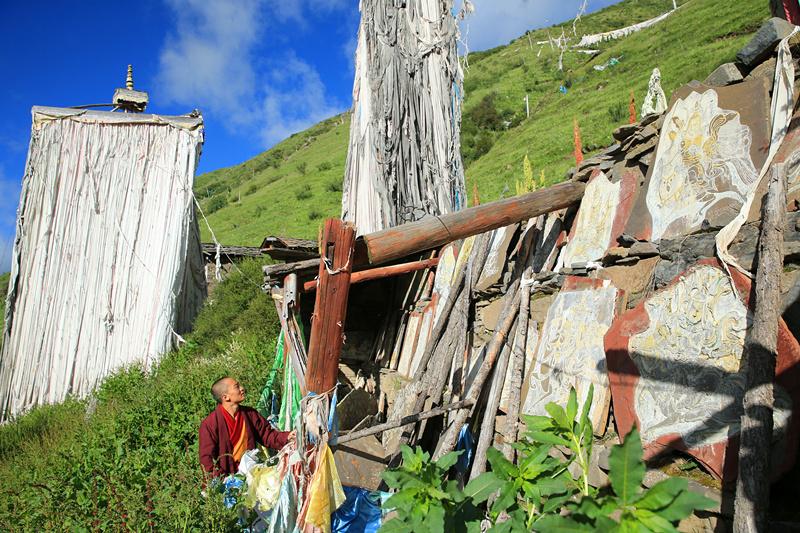 1502185385593314.jpg 8.jpg