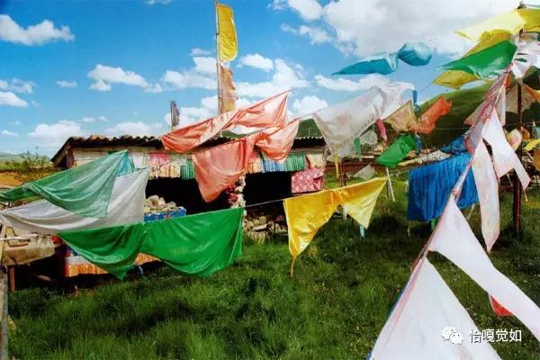 1515210203790708.jpg 1.jpg