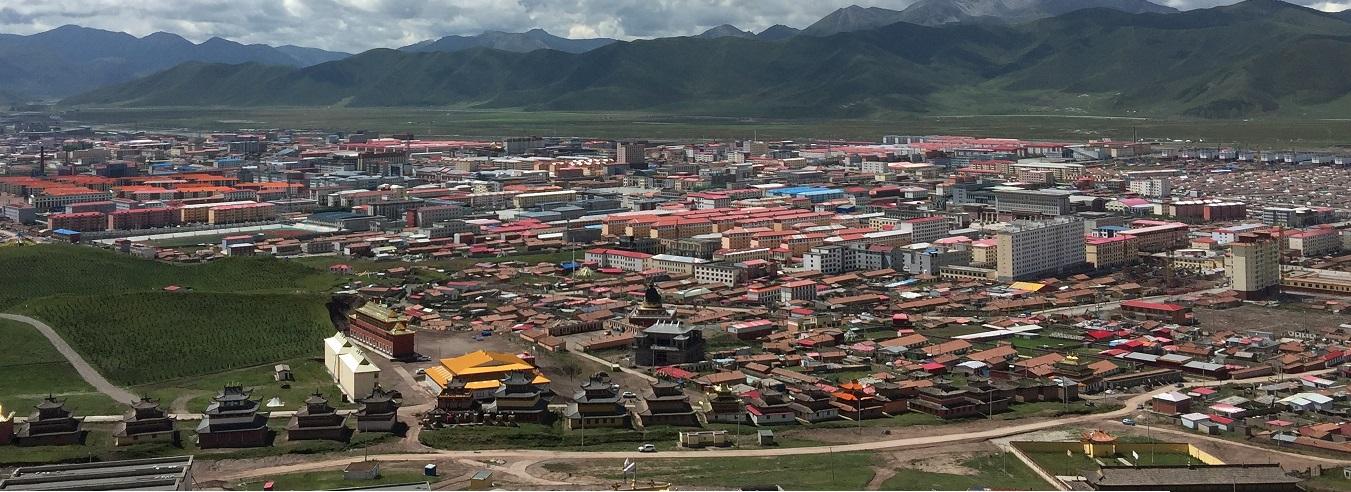 1534429431699096.jpg 7.jpg