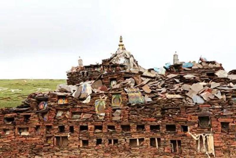 1600310433884390.jpg 7.jpg