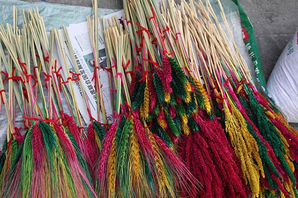  藏族特色新年習俗 藏族新年活動