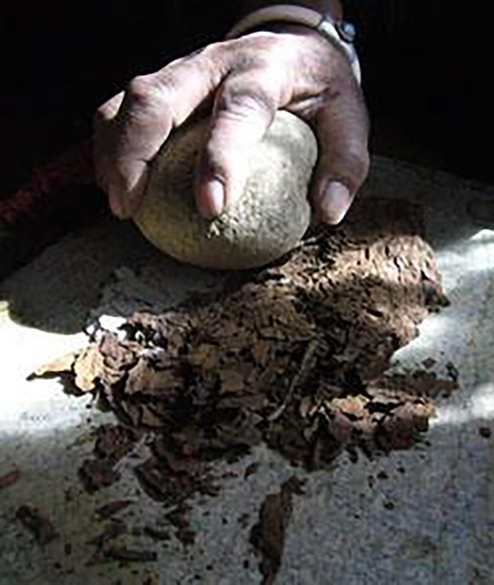 藏族在凹形青石板上磨制鼻咽。（張國華  供稿）timg(1).jpg