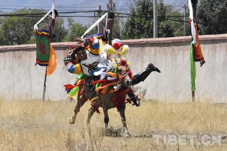 1665386657974116.jpg 7.jpg