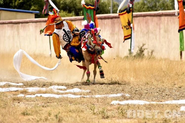 1665386665812221.jpg 8.jpg