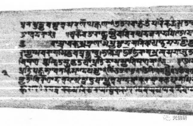 1492133085535779.jpg 3.jpg