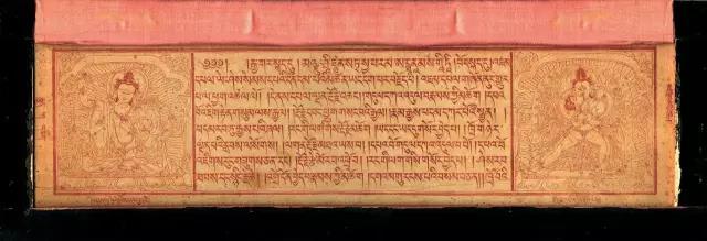 1493005177827297.jpg 4.jpg