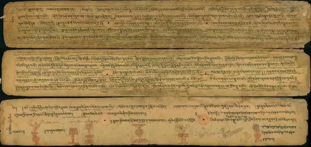 1493005263422008.jpg 7.jpg