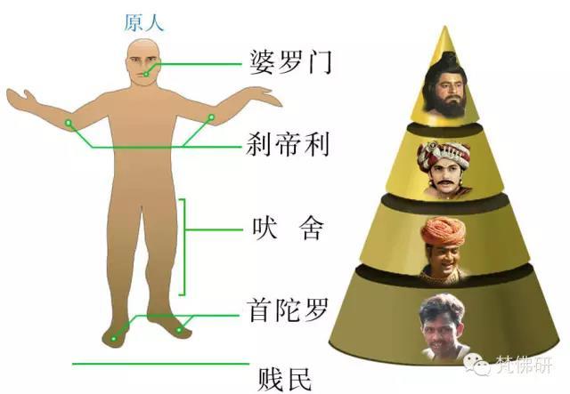 1493434295574133.jpg 4.jpg