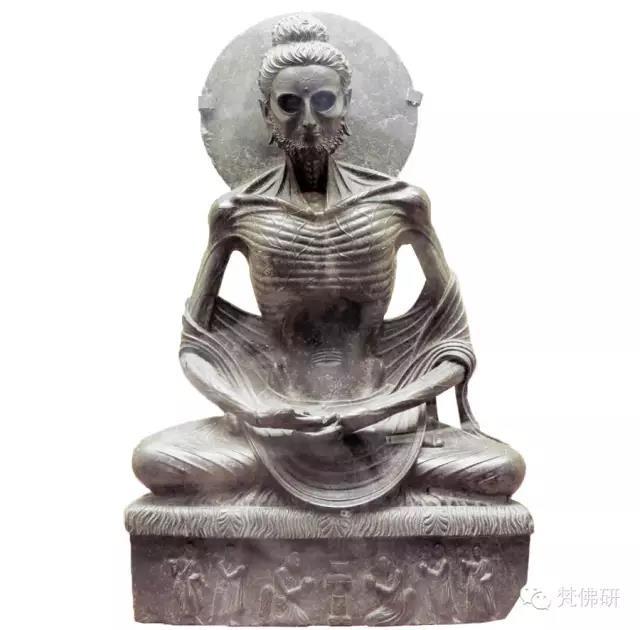 1493434358470363.jpg 5.jpg