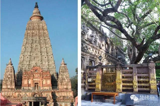 1493434390722144.jpg 6.jpg