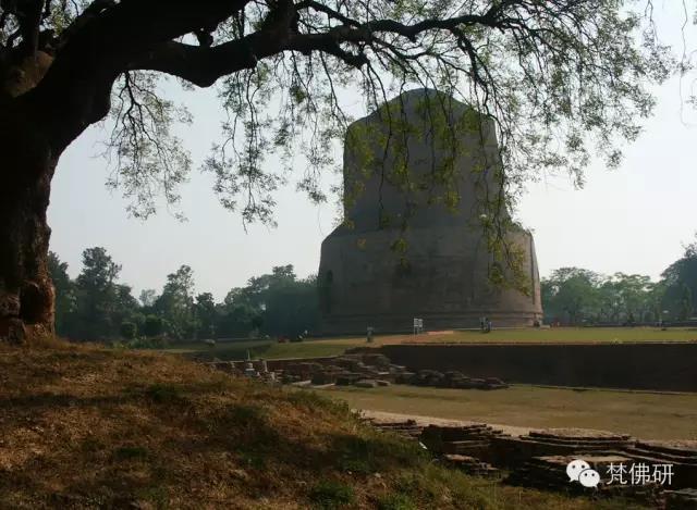 1493434450320282.jpg 8.jpg