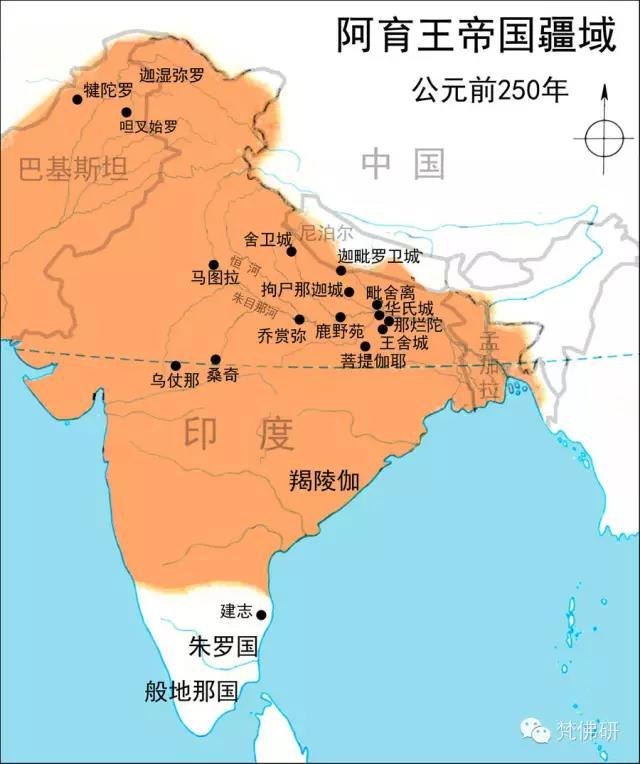 1493434643713533.jpg 9.jpg