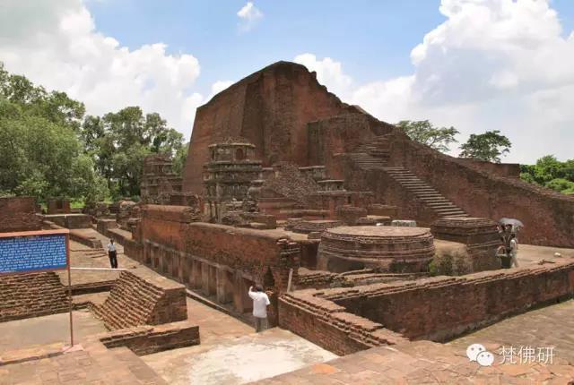 1493434829320944.jpg 15.jpg