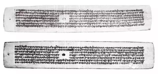 1493434962465049.jpg 19.jpg