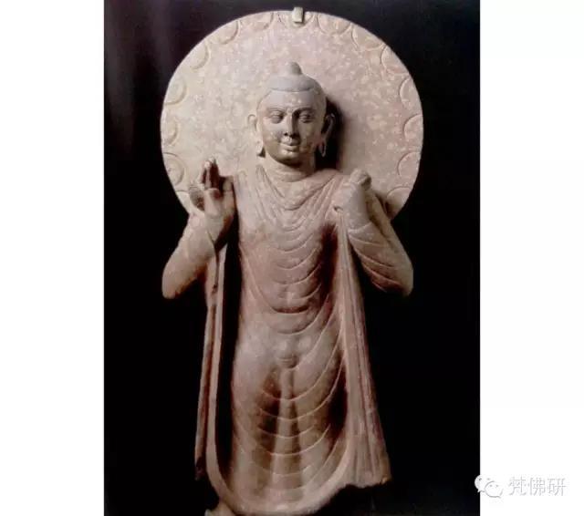 1493435040168057.jpg 24.jpg