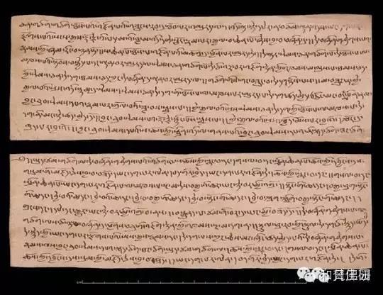 1519009120647521.jpg 6.jpg