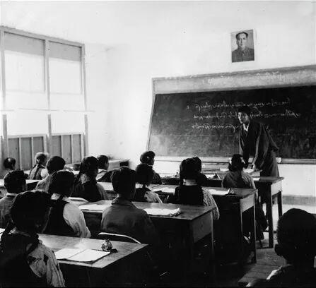 1531396656513292.jpg 4.jpg