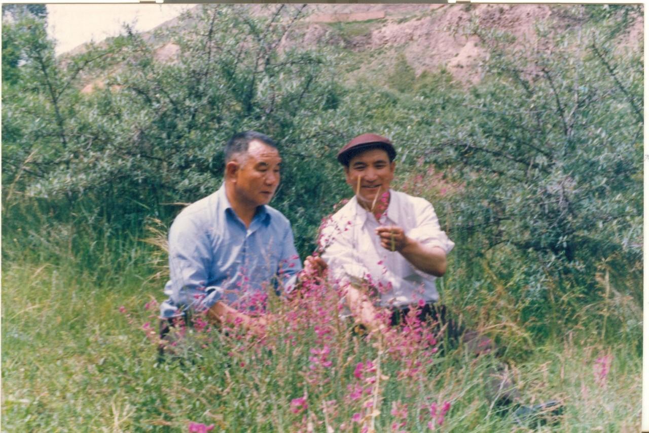 1532956831448778.jpg 3.jpg