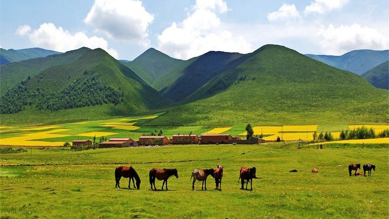 1538274938549867.jpg 1.jpg