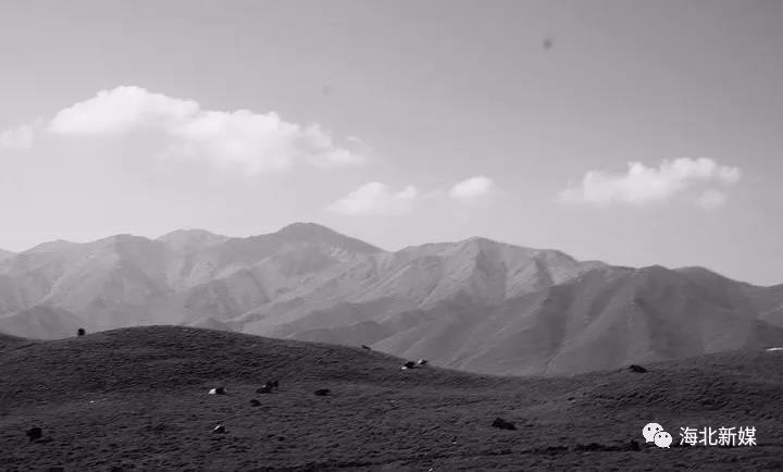 1540172427948981.jpg 7.jpg